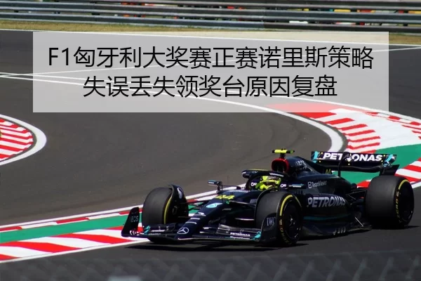 F1匈牙利大奖赛正赛诺里斯策略失误丢失领奖台原因复盘